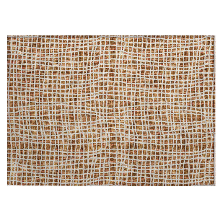 Finck Non-Slip Indoor / Outdoor Door Mat
