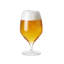 Premium Pils Glass