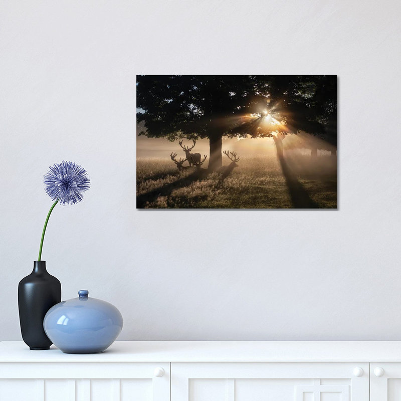 Summertime Dawn Under Chestnut by Max Ellis - Wrapped Canvas Painting, 30.48cm H  x  45.72cm W  x 1.905cm D