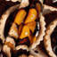 Tapisserie murale Desserts-133641694