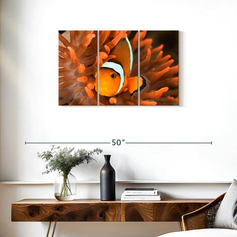 Orange Clownfish, 20" H x 33" W