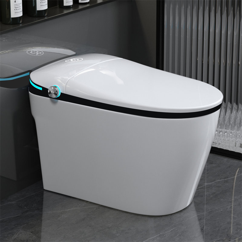 Smart Toilet With Bidet Seat Built-in