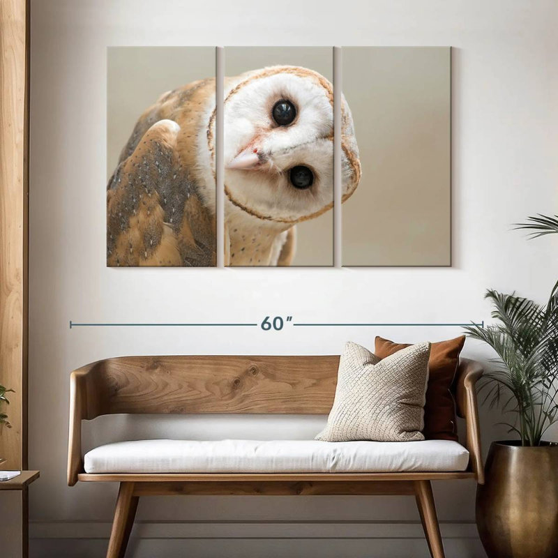 Barn Owl Gaze, 32" H x 50" W
