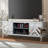 Storage Cabinet with 2 Door