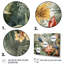 Perroquet au paradis II - Art encadré-1763345534-1793155366