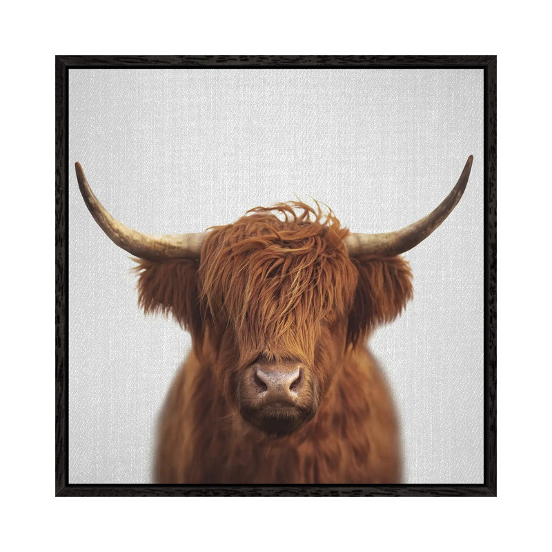 Highland Cow 1 Piece Wall Art on Canvas, 45.72cm H x 45.72cm W x 3.81cm D, Black Framed