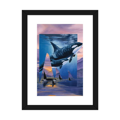 " Orca Song " by Graeme Stevenson