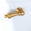 Trip Lever for Toilet-2079679578