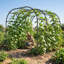 Treillis de jardin pour plantes grimpantes pour l'extérieur