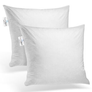https://assets.wfcdn.com/im/10068209/resize-h310-w310%5Ecompr-r85/6892/68926627/decorative-throw-pillow-insert-down-feathers-fill-100-cotton-cover-square-pillow-insert-set-of-2.jpg