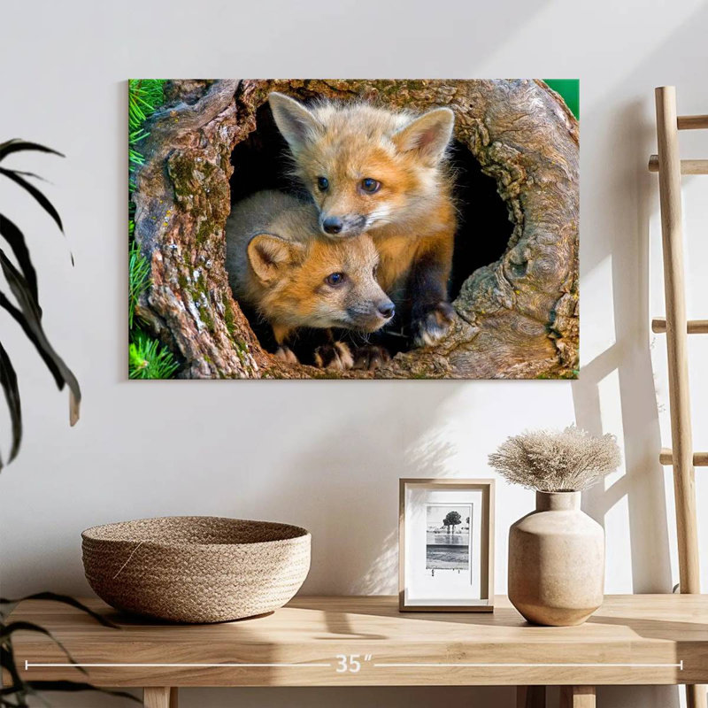 Brampt Fox Pops In Hollow Log, 16" H x 24" W