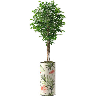 Faux Ficus Plant in Plastic Planter