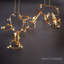 Ashton Chandelier-Horizontal