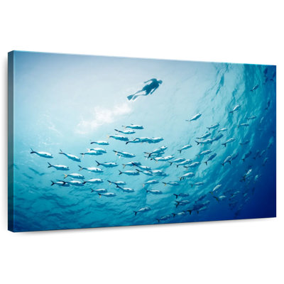 Senne Underwater With The Fishes