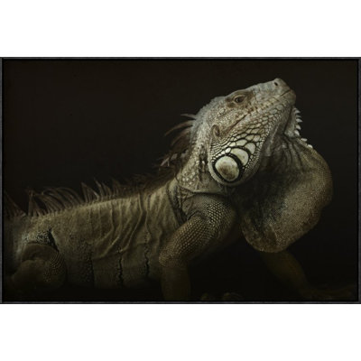 " Iguana Profile " by Aleksandar Milosavljevic