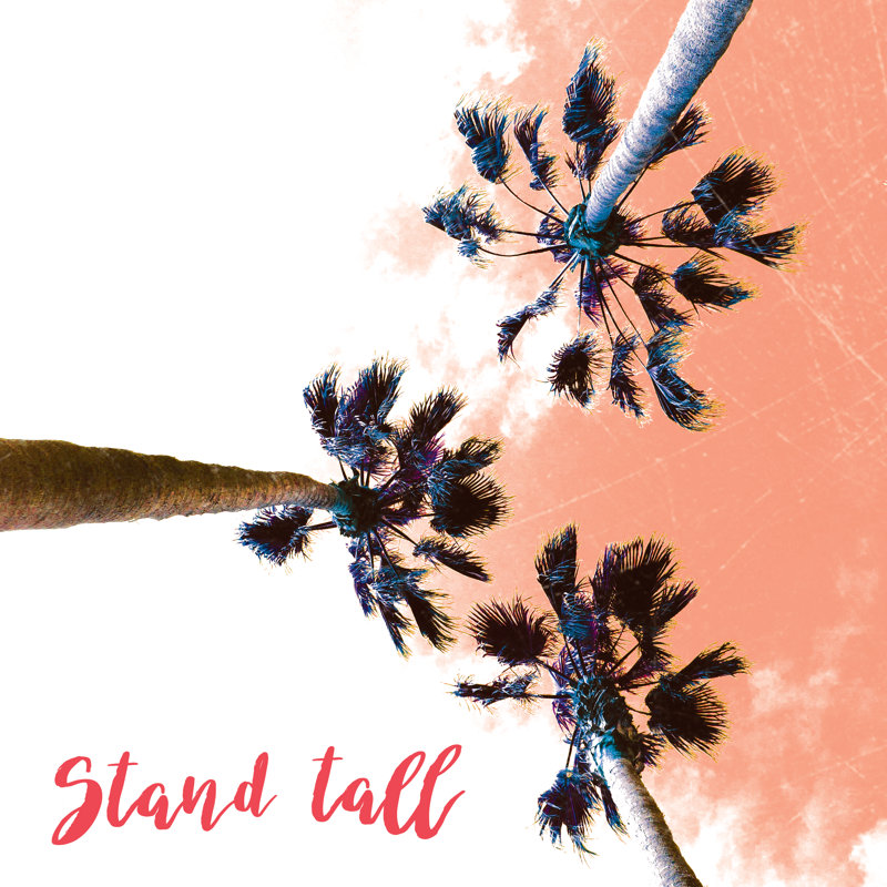 Stand Tall Palms - Wrapped Canvas Print, 51cm H x 51cm W x 3.8cm D
