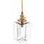 1 - Light Brass Pendant
