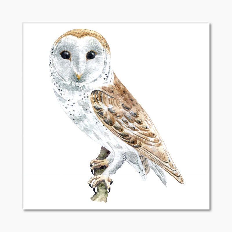 Portrait of a Barn Owl II - reproduction d'art sur toile traditionnelle, H 30 po x l 30 po x P 1 po, Toile tendue