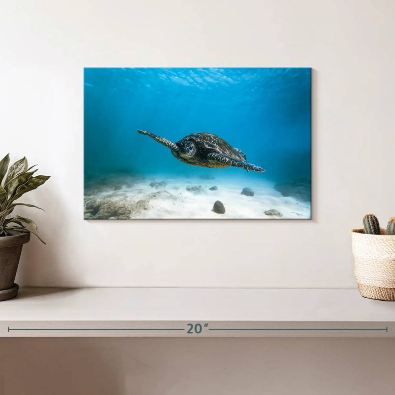 Brampt Blue Turtle, 8" H x 12" W