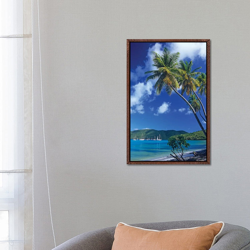 Palm Trees At Maho Bay, Virgin Islands by Tim Fitzharris - Print on Canvas, Classic Brown Wood Framed