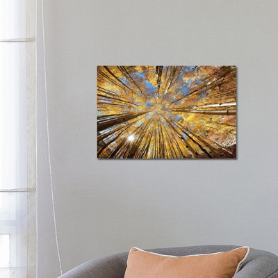 Colorado Autumn Splendor 1 Piece Wrapped Canvas Wall Art