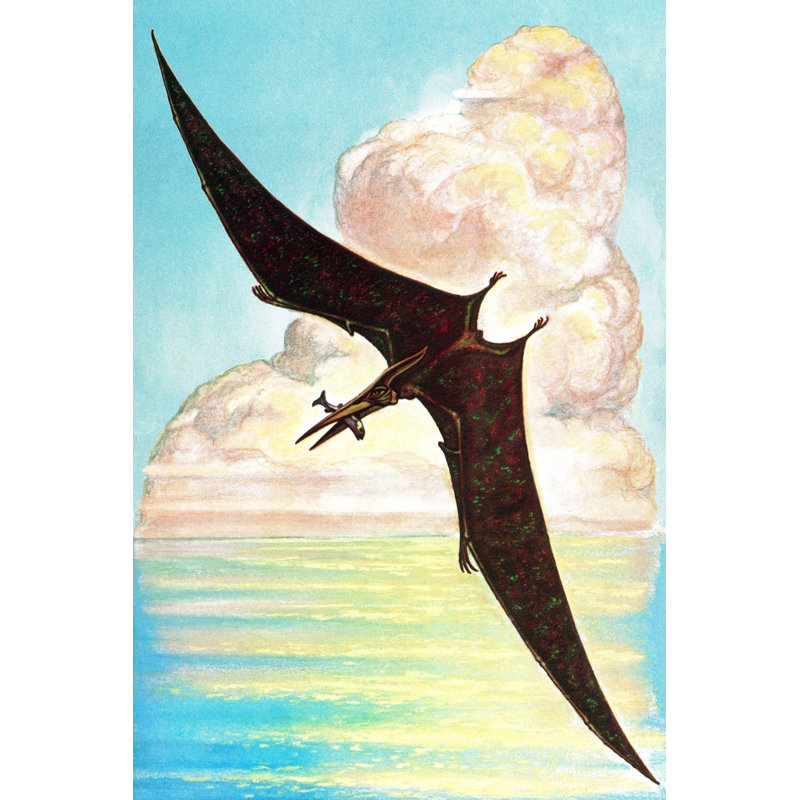 Pterodactyl - Graphic Art on Canvas