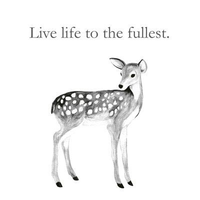Live Life to the Fullest Deer 1 Piece Wrapped Canvas Wall Art