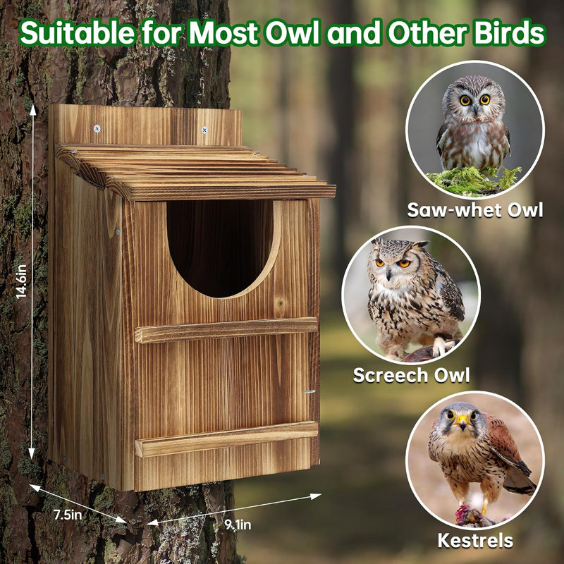Boîte de nidification en bois Owl Haven
