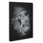 Fierce Lioness - Wrapped Canvas-56634417