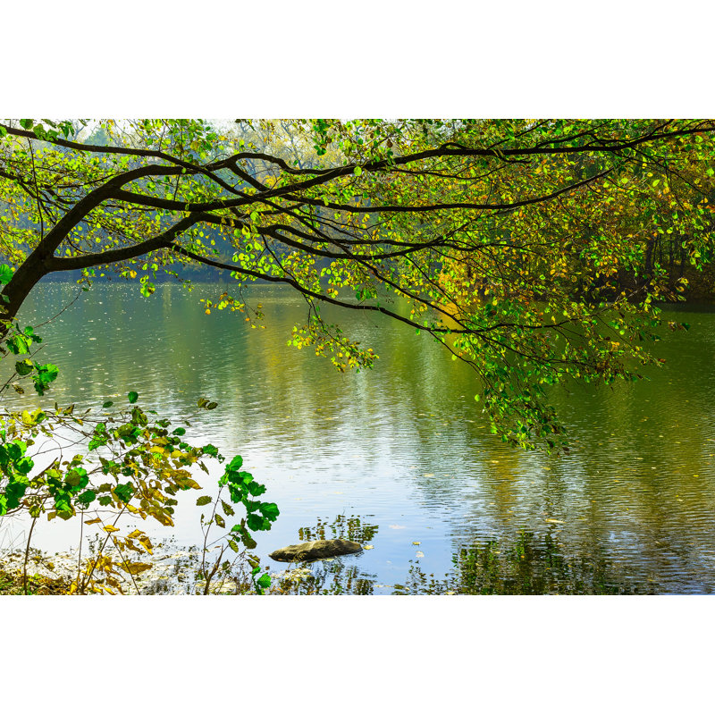 Tree Branch With Colourful Leaves Over Lake - Wrapped Canvas Print, 30cm H x 46cm W