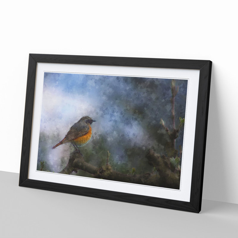Common Redstart Bird - Picture Frame Graphic Art, 27cm H x 36cm W x 2cm D, Black Framed
