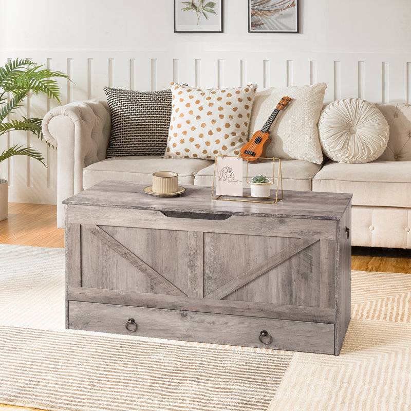 Cheynne Storage Blanket Chest with Drawer, Gray