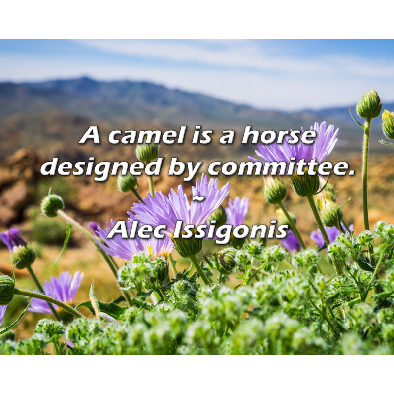 Alec Issigonis Citation: Un chameau est un cheval conçu par un comite., H 15 po x l 18 po