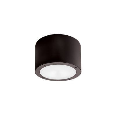 Vessel 1 - Light LED Flush Mount