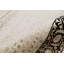 Oriental Area Rug