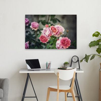 Plantes, fleurs, roses d'Ecosse III, art mural