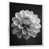 Cadre photo noir