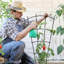 Metal Fan Trellis-1628604580