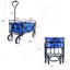 Chariot de plage pliable-113447326
