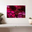Harnek - fleurs rouges et roses-107497238