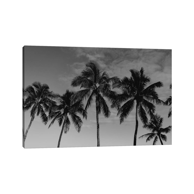 Hawaiian Palms by Bethany Young - Wrapped Canvas Print, 152.5 cm H x 101.5 cm W