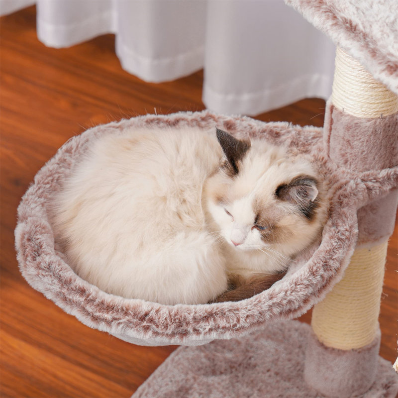 Arbre à chat Evalena, H 49,61 po x l 15,75 po x L 17,72 po, Beige