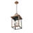 Dillion 3 - Light Outdoor Hanging Lantern-24023323