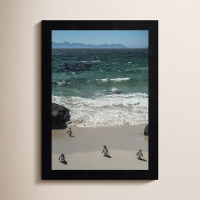 Perolio "Coming in to the Beach" Print