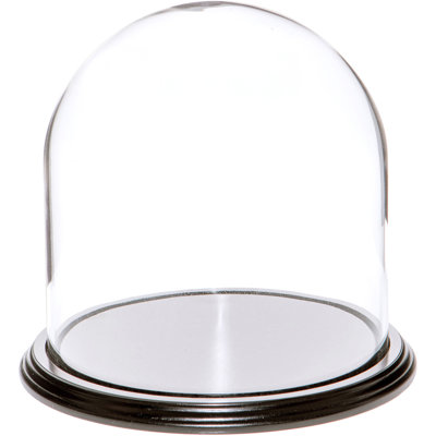 Vucciria Glass Display Dome Cloche
