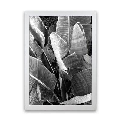 Palms Leafs 1 Piece Wall Art