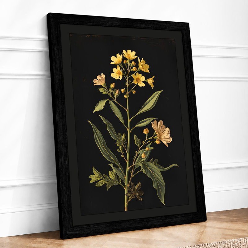 Golden Study Botanical - Framed Print, A2 - 59.4 x 42.0 cm, Black