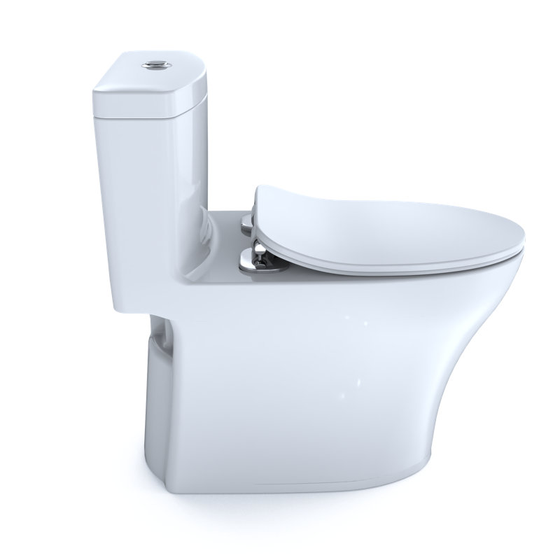 Aquia® Dual-Flush Elongated One-Piece Toilet with Tornado Flush (Seat Included)