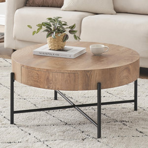 https://assets.wfcdn.com/im/10075355/resize-h300-w300%5Ecompr-r85/2499/249995170/Dyllan+Coffee+Table.jpg