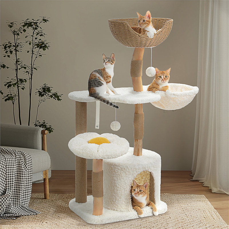 Arbre à chat